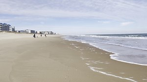 2.8K views · 81 reactions | Need an excuse to head to the beach next weekend? Hotels have put together special packages to celebrate Love on Tap weekend. The beaches will be deserted, the restaurants quiet, and the local craft beer will be flowing! Check out some of the great deals available at https://shorecraftbeer.com/shore-craft-beer-fest-hotel.../ (could make a great last minute Valentine's Day gift!) | OceanCity.com | Facebook