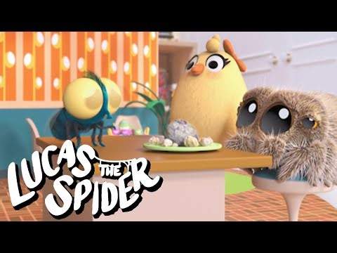 Lucas the Spider Has Roommate Problems + More Cartoons for Kids