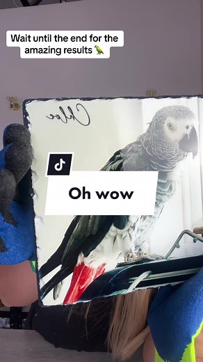 Oh WOW repost if you see me 🦜 #fyp #viral #blowthisup #repost #wow #magic #insane