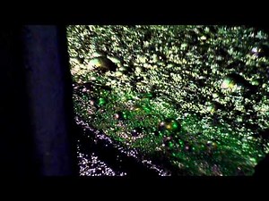 Copper concentrate flotation process