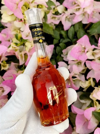 𝓑𝓸𝓽𝓮𝓵𝓵𝓲𝓽𝓪𝓼 𝓶𝓲𝓷𝓲𝓪𝓽𝓾𝓻𝓪 𝓒𝓓𝓜𝓧 | 🇫🇷 Camus Extra 🍇 1980s. 50ml / 5cl (miniature) Un cognac de lujo procedente de una mezcla de eaux de vie extremadamente raras. En los... | Instagram