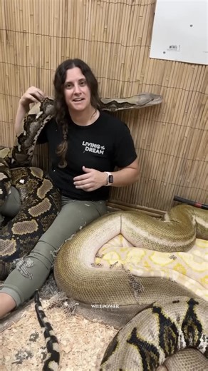 The story of the woman and her pet snake. 🐍😨 It had been her companion for years. A 7-foot snake, calm, quiet, always by her side. But one day… it stopped eating. Worried, she rushed to the vet thinking maybe it was ill, stressed, or dying. What the vet said next changed everything. The snake wasn’t sick. It wasn’t weak. It was measuring her. Snakes stop eating when they’re preparing for a large meal—conserving energy, calculating size. And the vet told her the truth she never expected… 👉 The