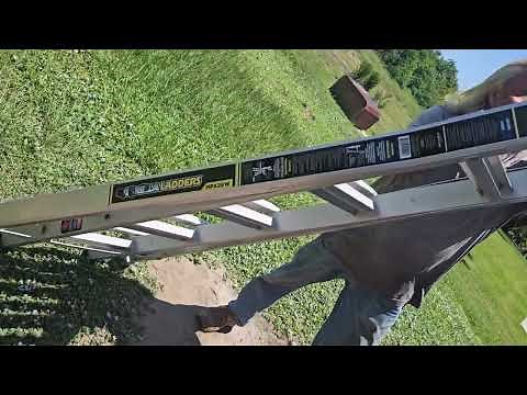 Gorilla Ladders MPX26W