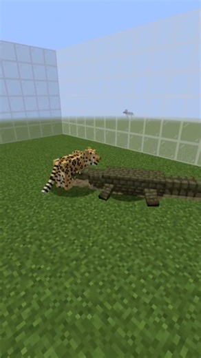 Minecraft Leopard VS Crocodile