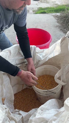 Never Stop Baiting!! #porkPolice