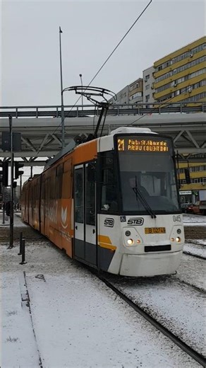 📸Samsung GALAXY S7/ V3A-2010-CA #045 (21) la Doamna Ghica