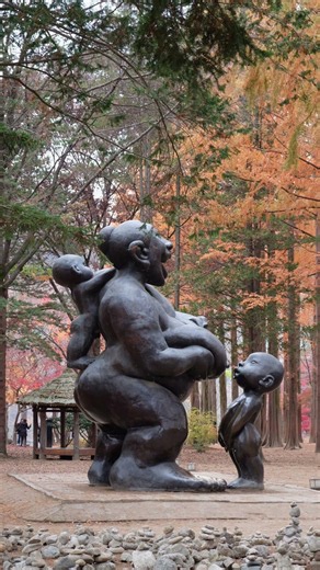 Have you heard of Nami Island in South Korea? It's magic in Autumn