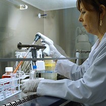 Video: A Kinetic Fluorescence-based Ca2  Mobilization Assay to Identify G Protein-coupled Receptor Agonists, Antagonists, and Allosteric Modulators