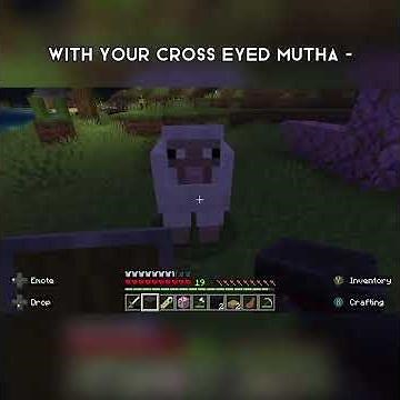 Minecraft Gender Reveal Party!