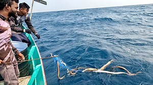 10M views · 40K reactions | We Caught Plenty of Eel Fish in the Deep Sea | Neerulagam | Facebook