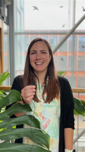 1K views | 邏 We’ll guide you through the scholarship jungle! Join us...