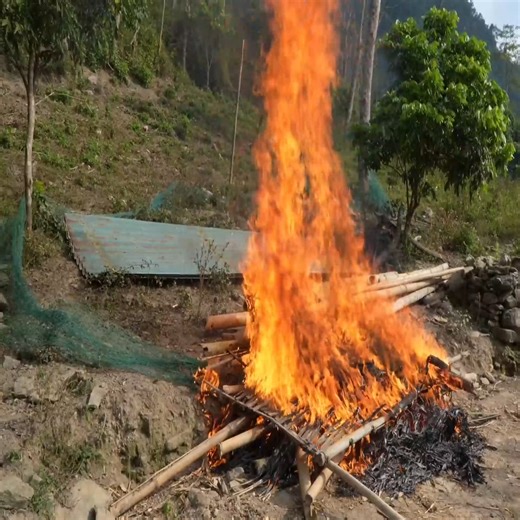 11K views · 587 reactions | Collect used chicken coops and burn them. | Kayden Valencia | Facebook
