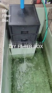 DIY Pond Filter Box #fishkeeper #bosswinn #thelazyaquarist #koipond #alligatorgarpond #diy | The Lazy Aquarist