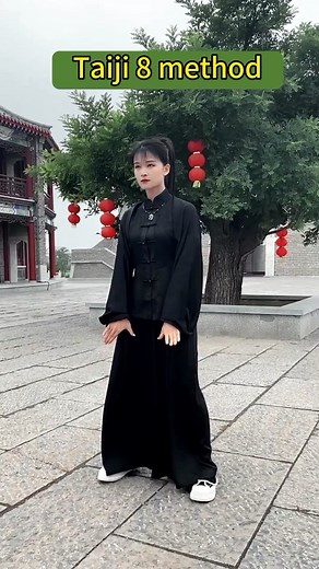 Tai Chi 48 Sanshou: Strong and Fierce One Move Style