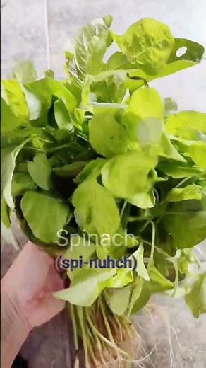 'How To Pronounce Spinach' #spinach 🌱 #learnenglish #pronunciation #shorts🔥