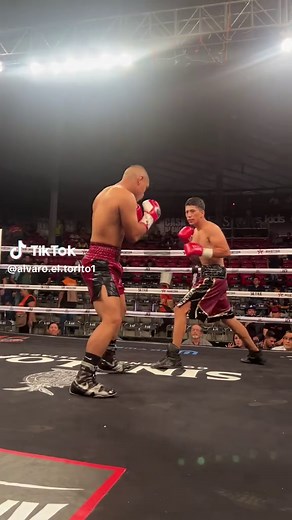 Álvaro “El Torito” Pérez peleas y videos – boxeo mexicano