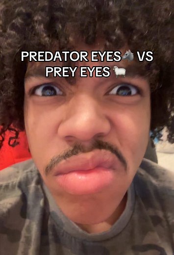 Predator Eyes vs Prey Eyes: Understanding Visual Traits