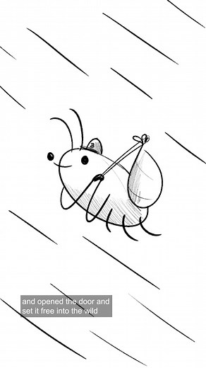 🪳🪳🪳🪳🪳 @Kevin James Thornton