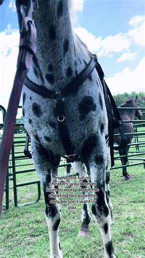 #carenthusiast #tattedblonde #cargirl #chevy #femalecarenthusiast