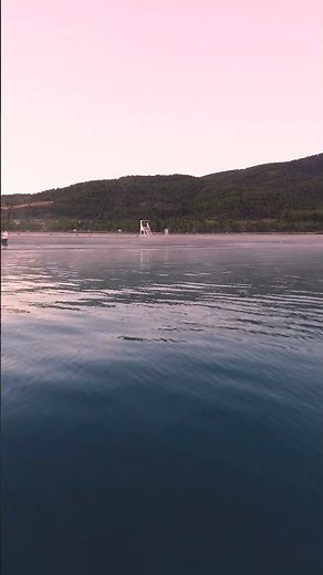 14548979 1440 2560 24fps