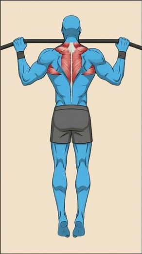 Still Stuck at 5 Pull-Ups? Here’s Why (And How to Fix It Fast)