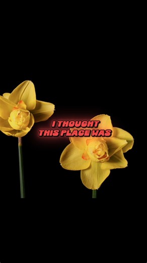 She & Him - I Thought I Saw Your Face Today (Official Lyric Video).
