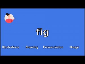FIG - Meaning and Pronunciation