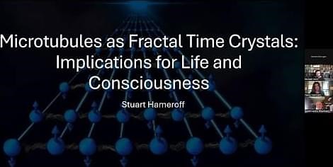 “Microtubules as Fractal Time Crystals: implications for life and consciousness” by Stuart Hameroff – Lifeboat News: The Blog