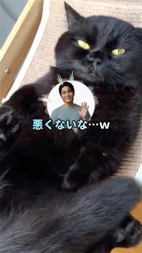 [Sukkiri] "Today I'm going to that store!" Where did I, an elite teacher, head to on my day off.....