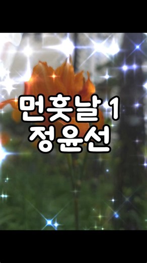 정윤선 먼훗날 #가수정윤선 #정윤선노래 #정윤선노래 #트로트