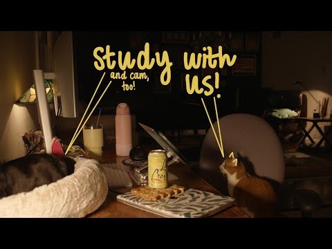 5-hour study with me (50/10 pomodoro split, QUIET keyboard, RAIN sounds)