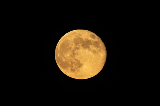 Beaver moon to be largest, brightest full moon of 2025: Here’s when to see it