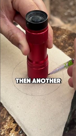 This Simple Forest Trick Turns a Flashlight Into a Lamp