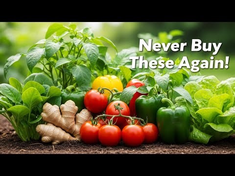 Grow These 15 Crops to Cut Your Grocery Bill 💸