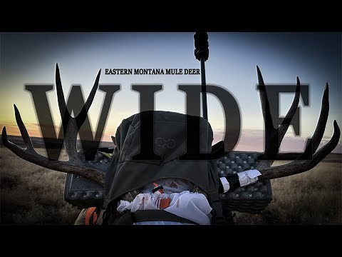 "WIDE" An Eastern Montana Public Land Mule Deer Hunt