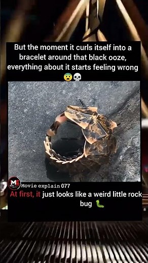 This Tiny Rock Bug Just Unlocked a New Fear 😳🪨🐛