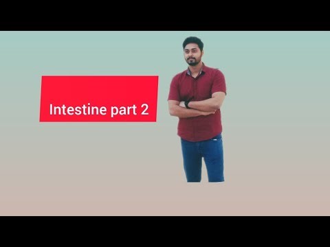 Intestine surgery||fmge|| how to study the intestine 