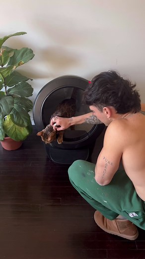 cat essentials @Litter-Robot