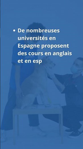 Les études vétérinaires en Espagne ! 🇪🇸🩺