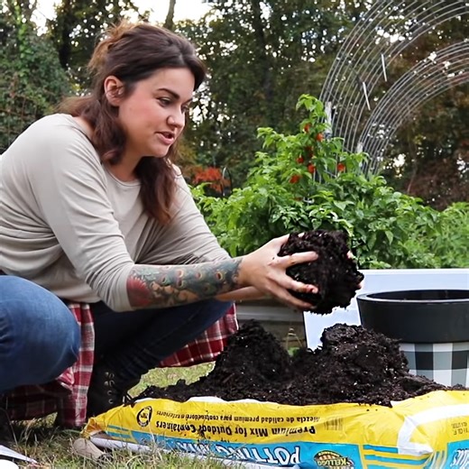 DIY greenhouse for salad greens 🥬 | Roots and Refuge Farm