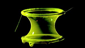 Watch The Science of Bubbles | Prime Video