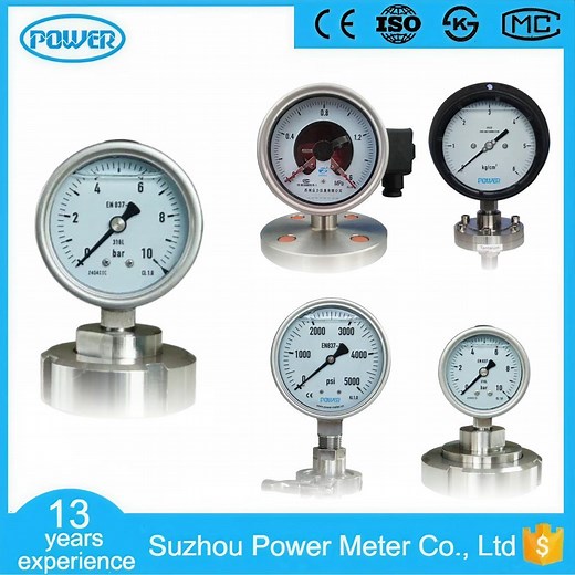 [Hot Item] 2.5 Inch Diameter SS316 Threaded Connection Diaphragm Seal Pressure Gauge with DN25