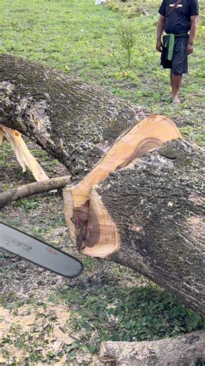 213K views · 2.2K reactions | Fast cutting #husqvarna | Iswoko | Facebook