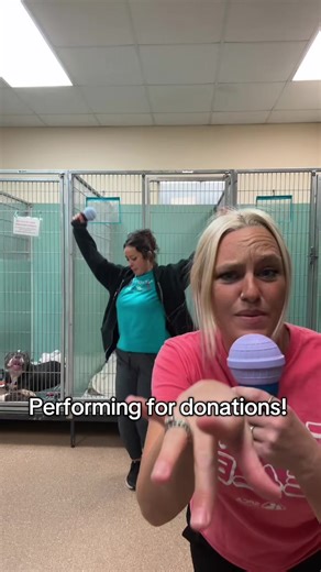 Exciting Dog Dance Performance for Donations