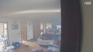 Home security cameras in this Massachusetts home captured footage of this dog turning on the stove and starting a fire after trying to grab some leftover pancakes. Bad dog. Read more: https://goo.gl/WtAkxf | SFGATE