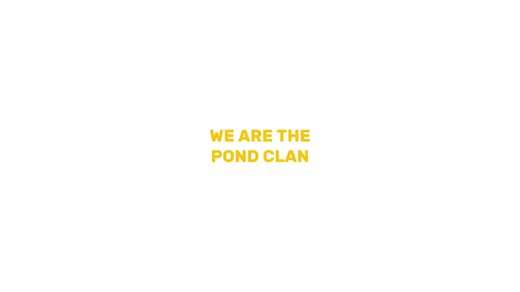 Warrior Cats Adventure: PONDCLAN Fun