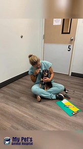 🎪 Happy Boss’s Day to our fearless leader, Dr. Donna! 🎪 This is her circus, and we’re proudly her clowns (hey, she chose us 😜). She gracefully balances her roles as Medical Director and owner of My Pet’s Animal Hospital, mom, wife, dog mom, cat mom, and all-around superstar. She’s built something special here — a place full of laughter, compassion, and top-notch care. She advocates fiercely for her patients, her clients, and her team, and we’re incredibly lucky to call her our boss. Thanks fo