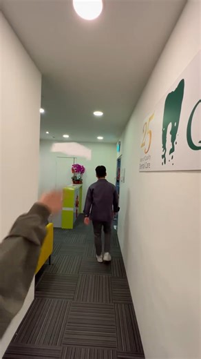 2.1K views | Hey! Did you catch our message?  2025 is wrapping up soon — has it been more than 6 months since your last dental check-up? 醴 Don’t wait till next year! Book your appointment today and keep your smile in shape. ✨ #DentalCare #HealthySmile #QandMDentalGroup #全民牙科 | Q & M Dental Group | Facebook