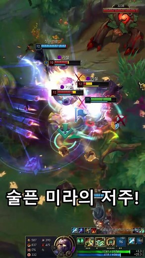 미스포츈 공주님을 지키는 기사 아무무