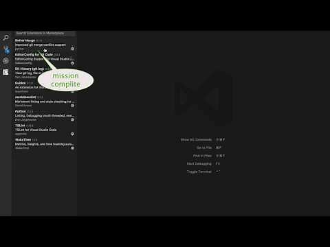 How to install VSCode extensions offline?